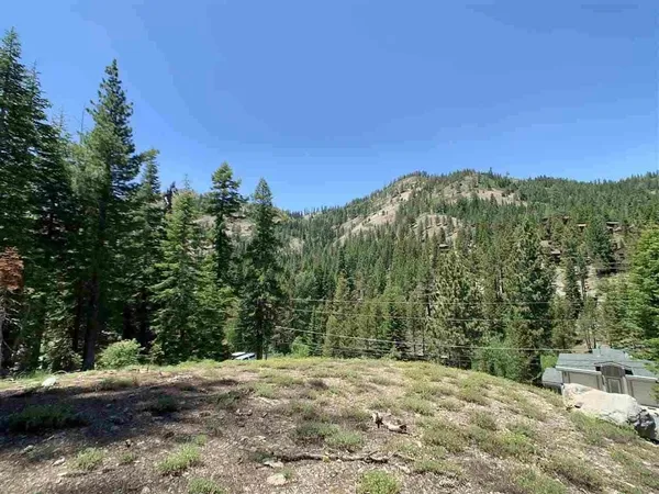 a view of a yard with trees in the background