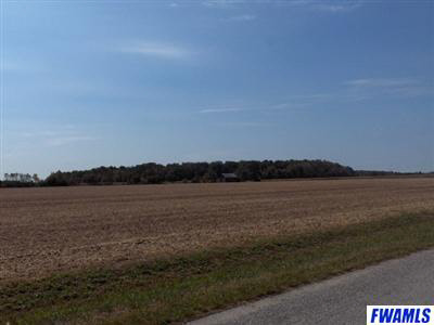 0 Dawson Road Monroeville, IN 46773 - Photo 3 of 5