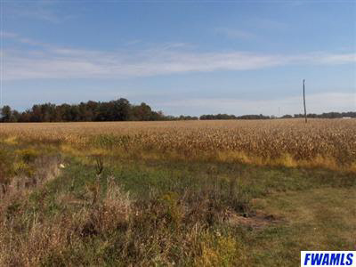0 Dawson Road Monroeville, IN 46773 - Photo 4 of 5