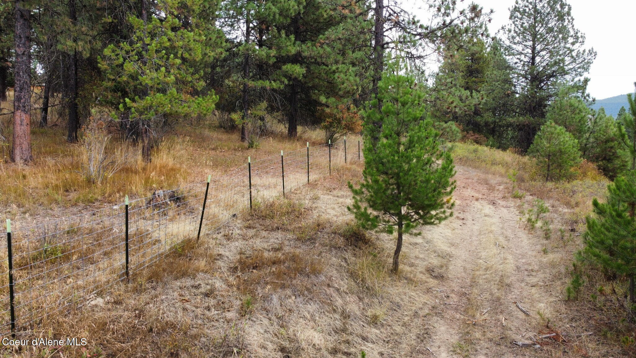 293 Watertower Road St. Maries, ID 83861 - Photo 25 of 43 6457097351644365268