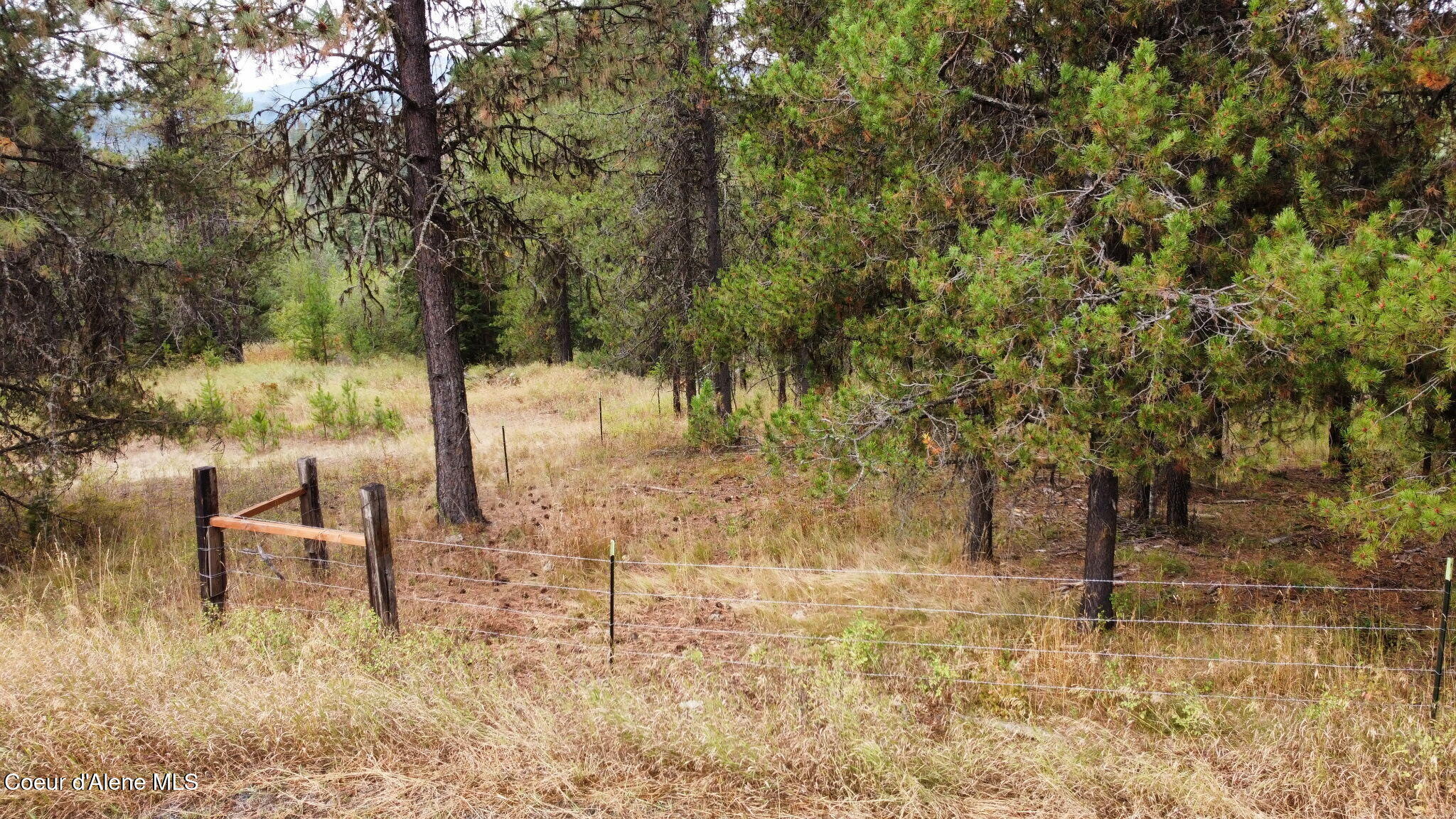 293 Watertower Road St. Maries, ID 83861 - Photo 26 of 43 7121144300706708039