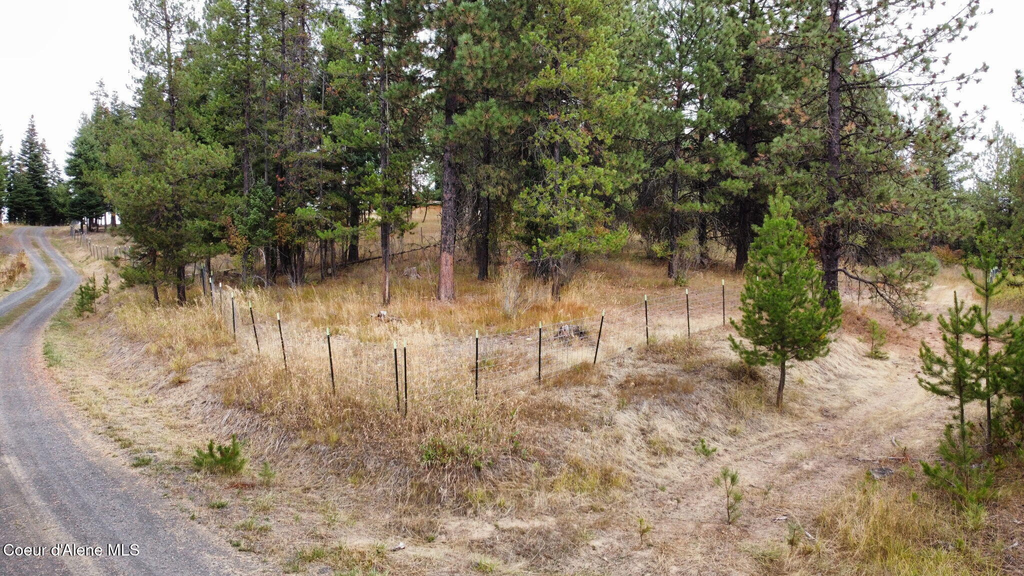 293 Watertower Road St. Maries, ID 83861 - Photo 28 of 43 5350252540372446978