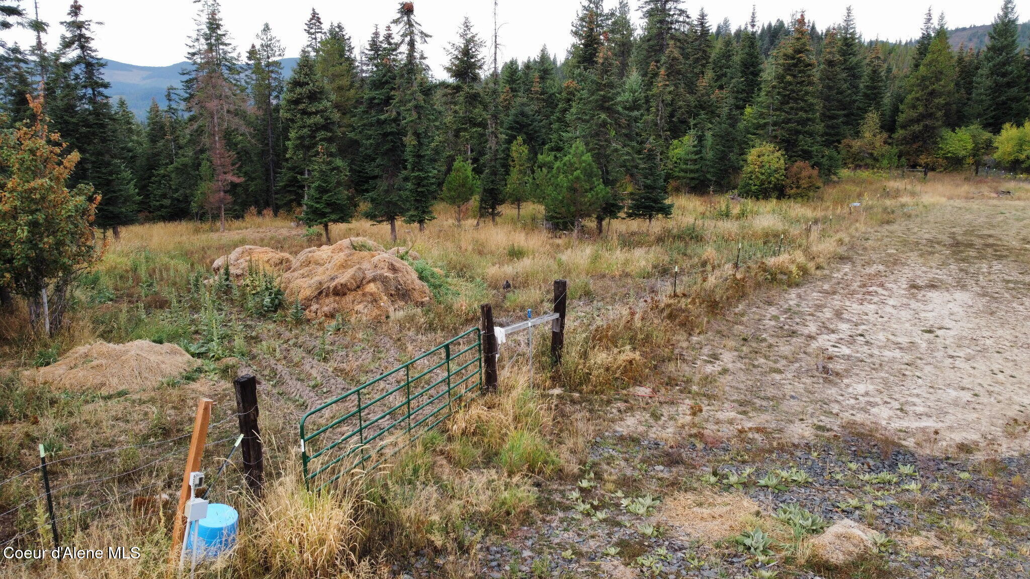 293 Watertower Road St. Maries, ID 83861 - Photo 33 of 43 810408715824809342