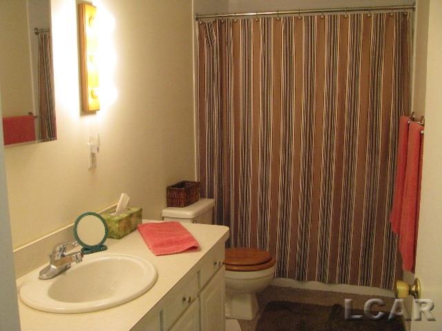 8360 Packard Road Morenci, MI 49256 - Photo 6 of 13 Bath