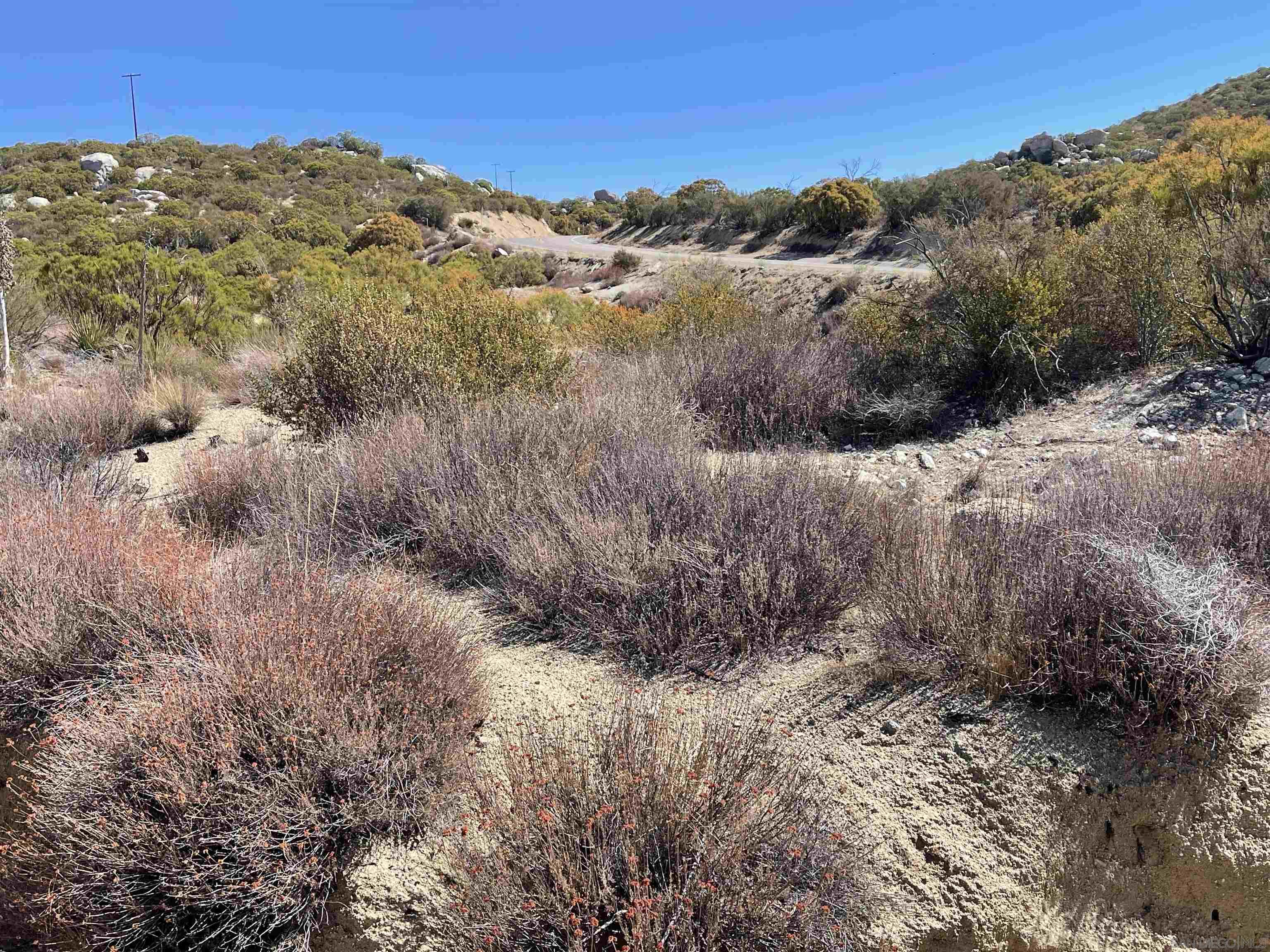 3 Chihuahua Valley Road, Unit 36 Warner Springs, CA 92086 - Photo 1 of 6 a view of a dry yard with green space