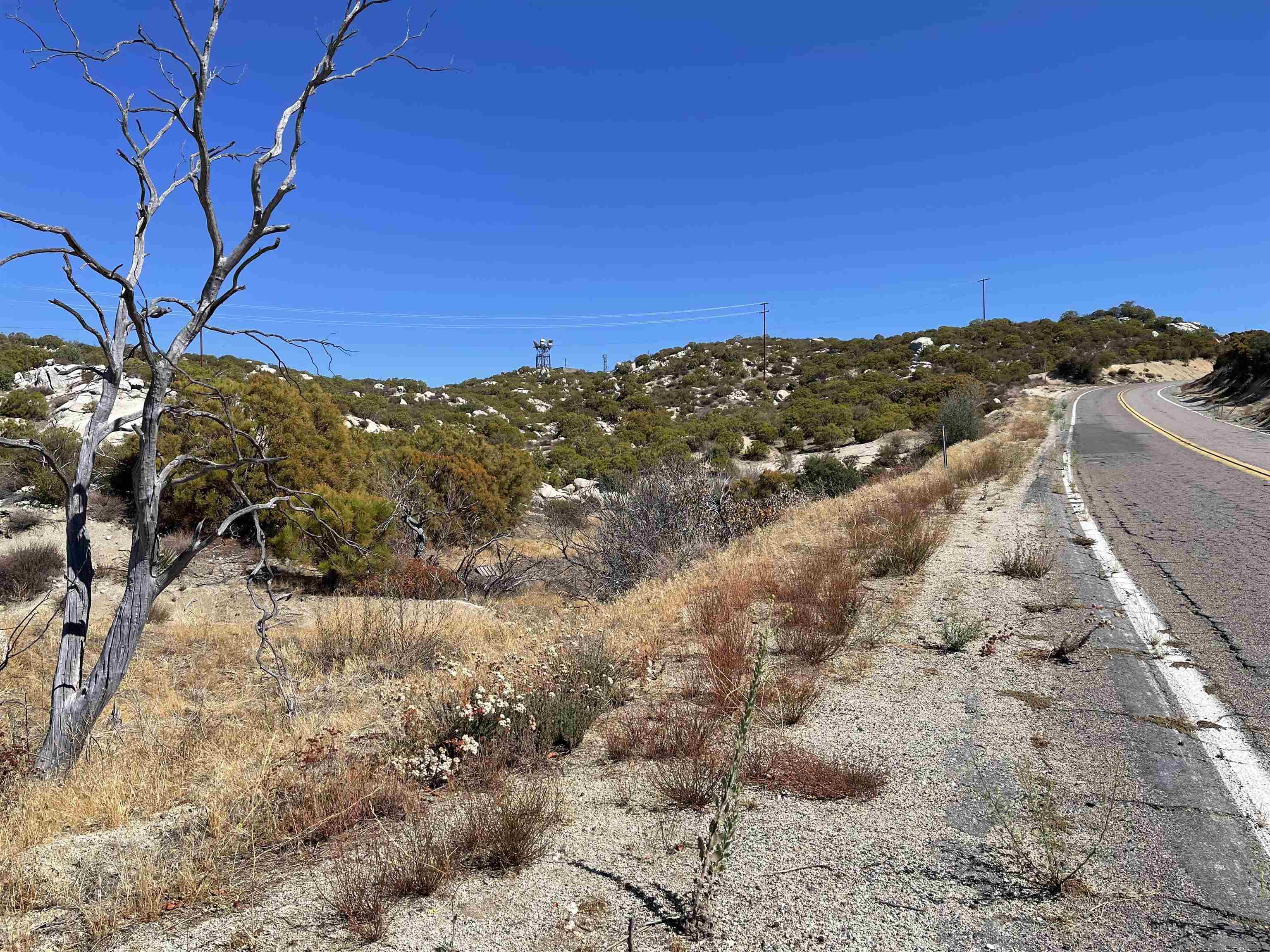 3 Chihuahua Valley Road, Unit 36 Warner Springs, CA 92086 - Photo 5 of 6 a view of a dry yard with mountains