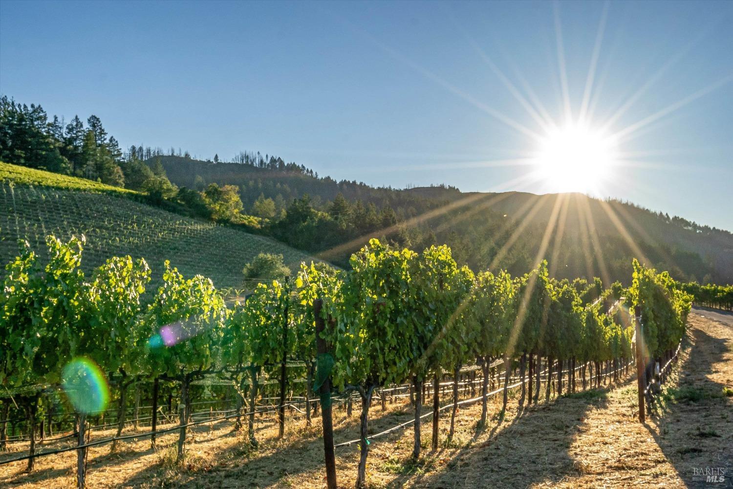 2340 Mt Veeder Road Napa, CA 94558 - Photo 15 of 38