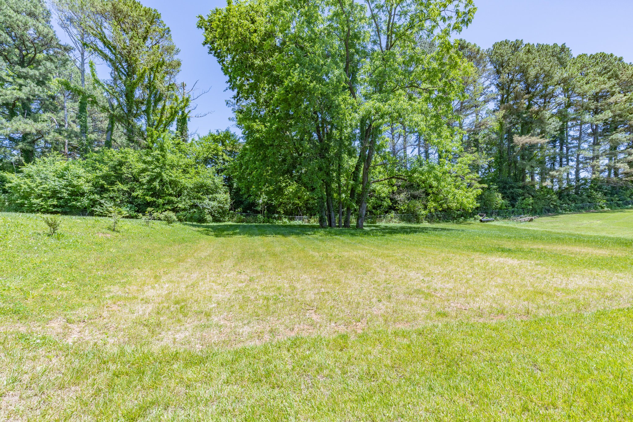 110 4th Avenue Loretto, TN 38469 - Photo 30 of 32 a view of a yard with a trees
