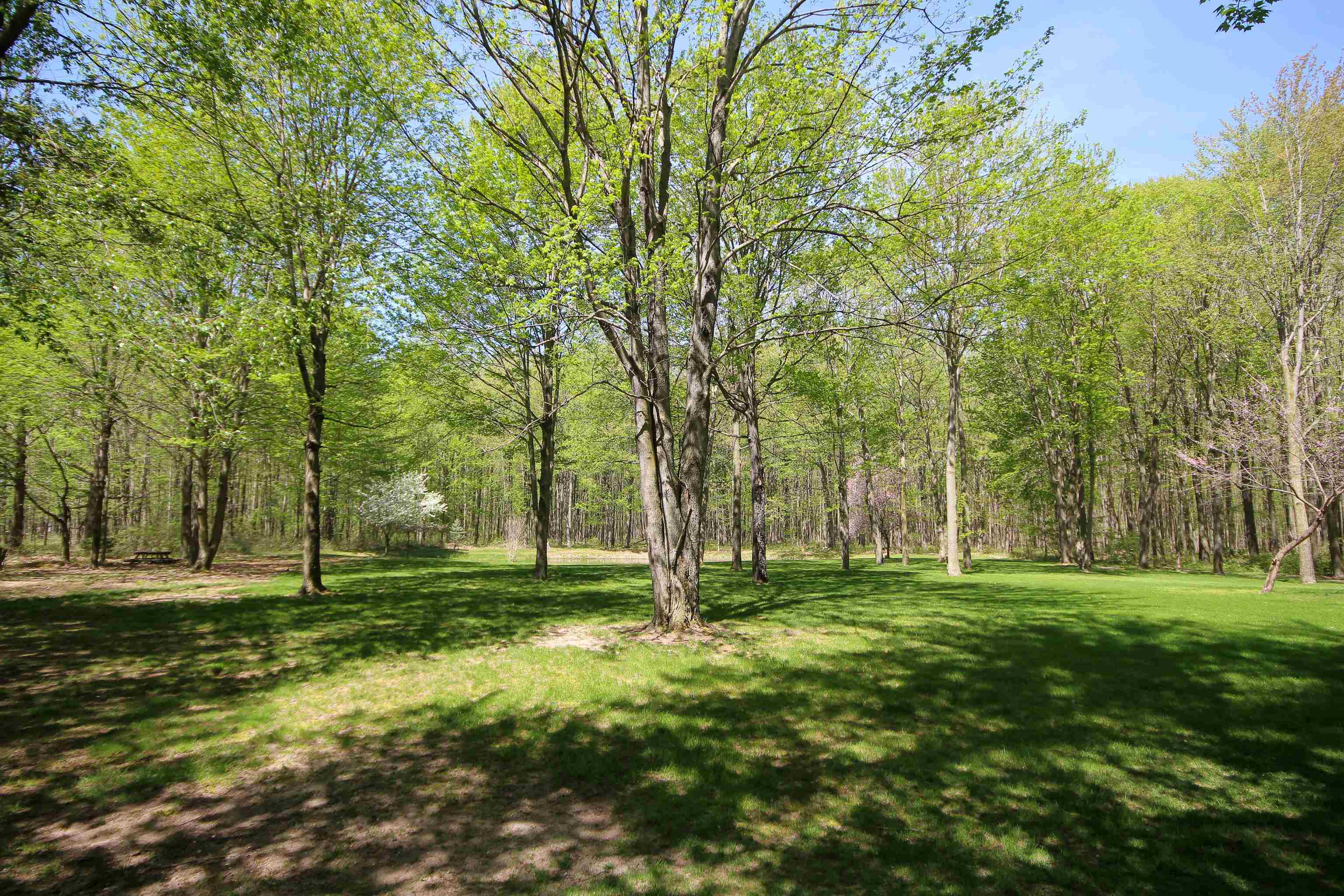 3722 South Alamando Road St. Louis, MI 48880 - Photo 42 of 55 1899865-41.JPG