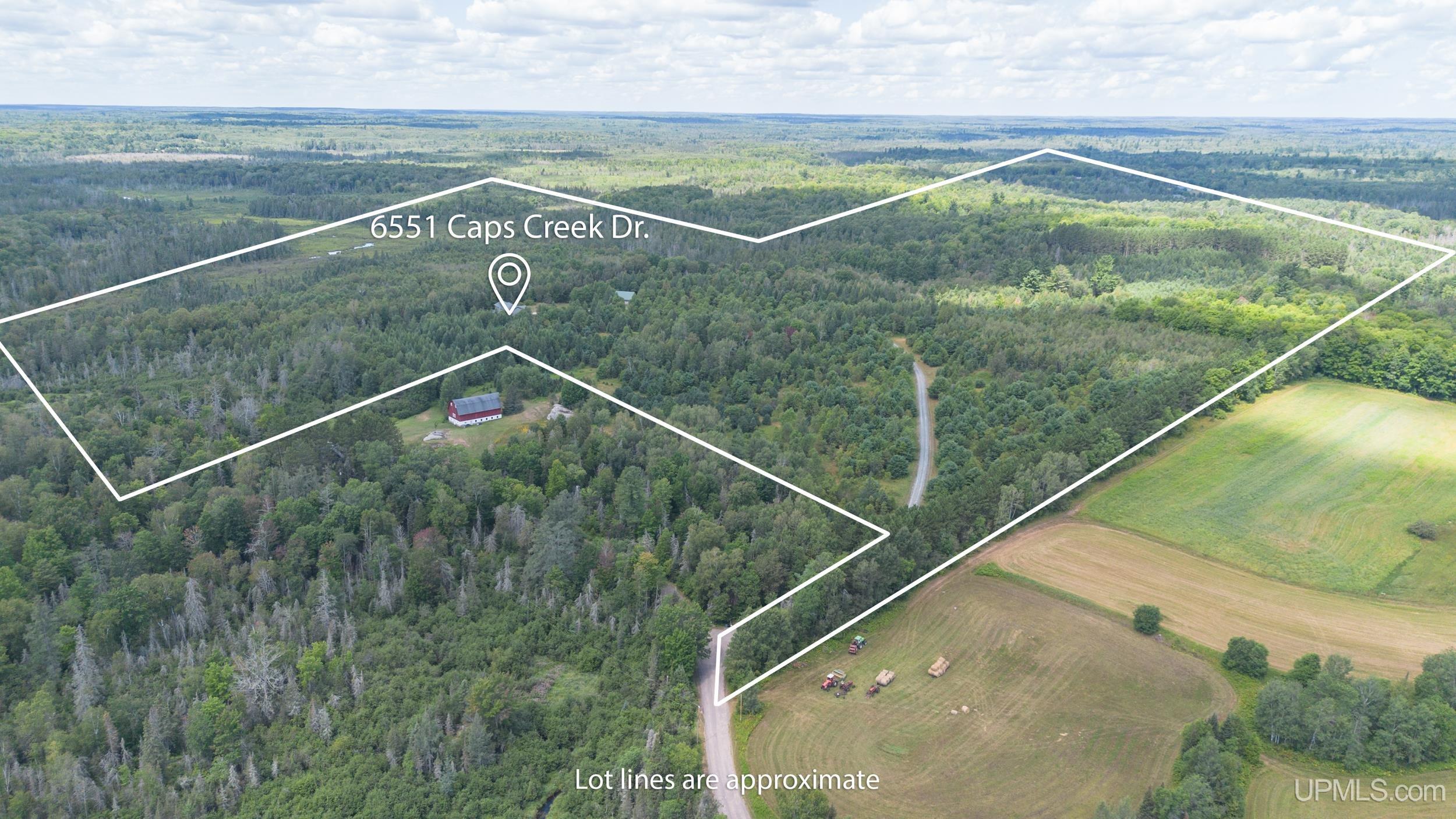 6551 Caps Creek Road Republic, MI 49879 - Photo 4 of 60 Gallery Image 4