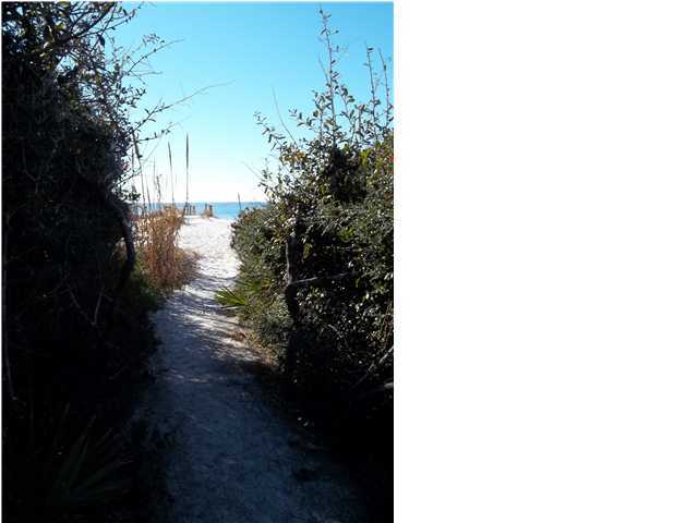 263 Winston Lane Inlet Beach, FL 32461 - Photo 19 of 21