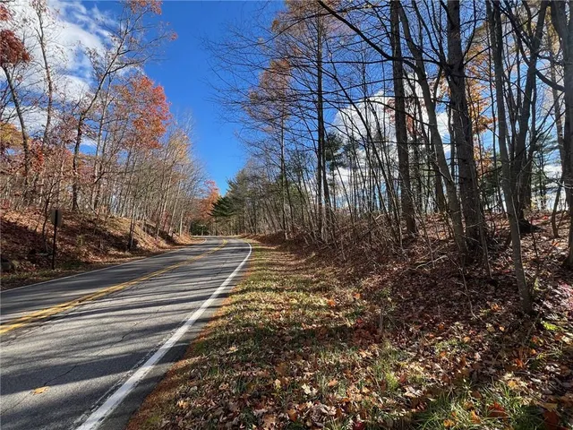 a view of a yard with plants and trees