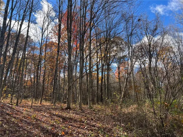 a view of backyard space