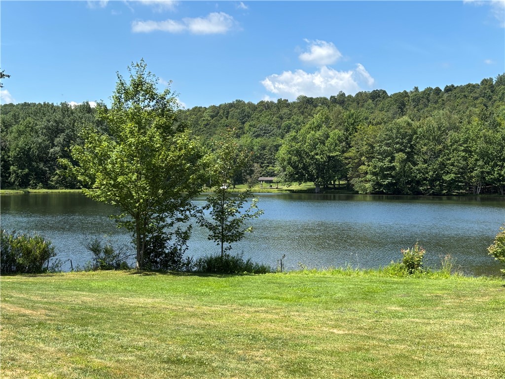 179 Sparrowhawk Lake Road Maryland, NY 12155 - Photo 48 of 49