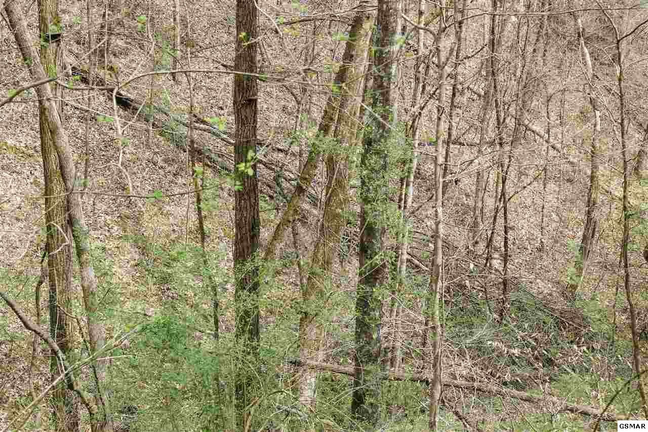 1940 Long Branch Road Seymour, TN 37865 - Photo 27 of 35 Gallery Image 27