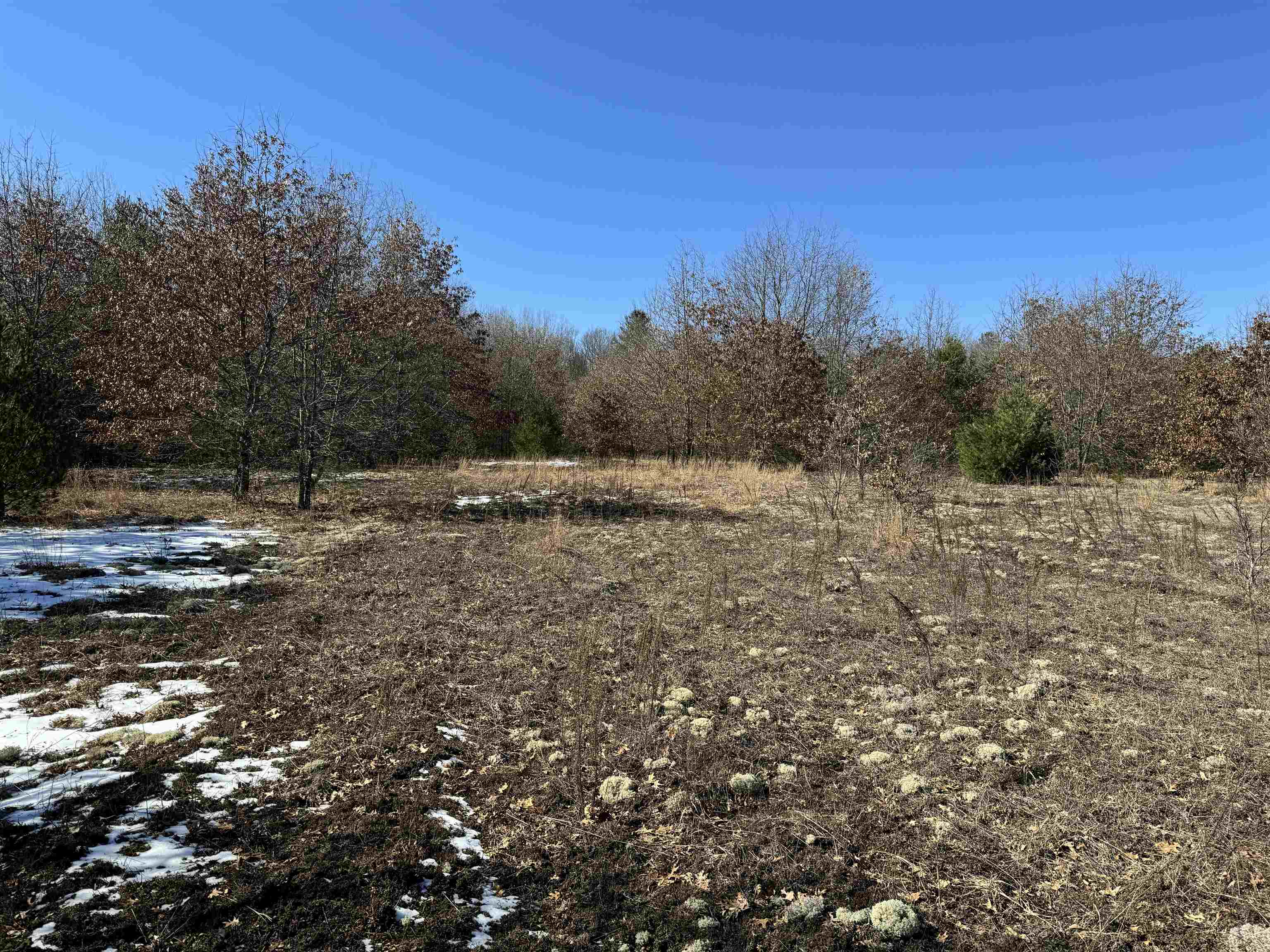 Vl West Sanborn Road Lake City, MI 49651 - Photo 6 of 9