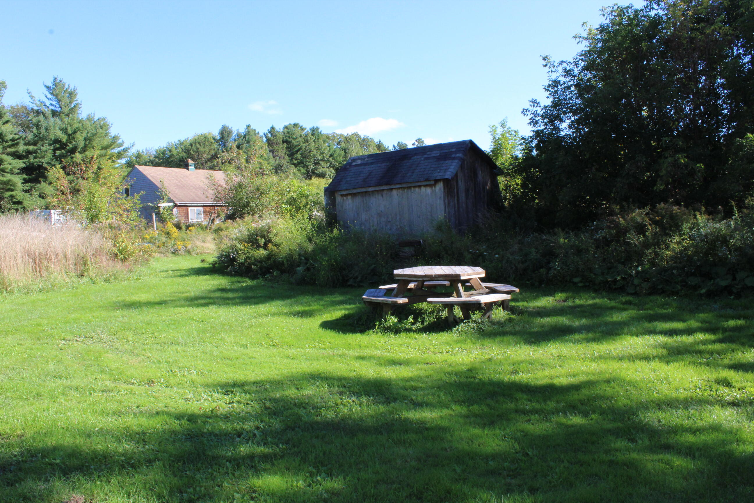 838 Castine Road Orland, ME 04472 - Photo 30 of 54 IMG_9443
