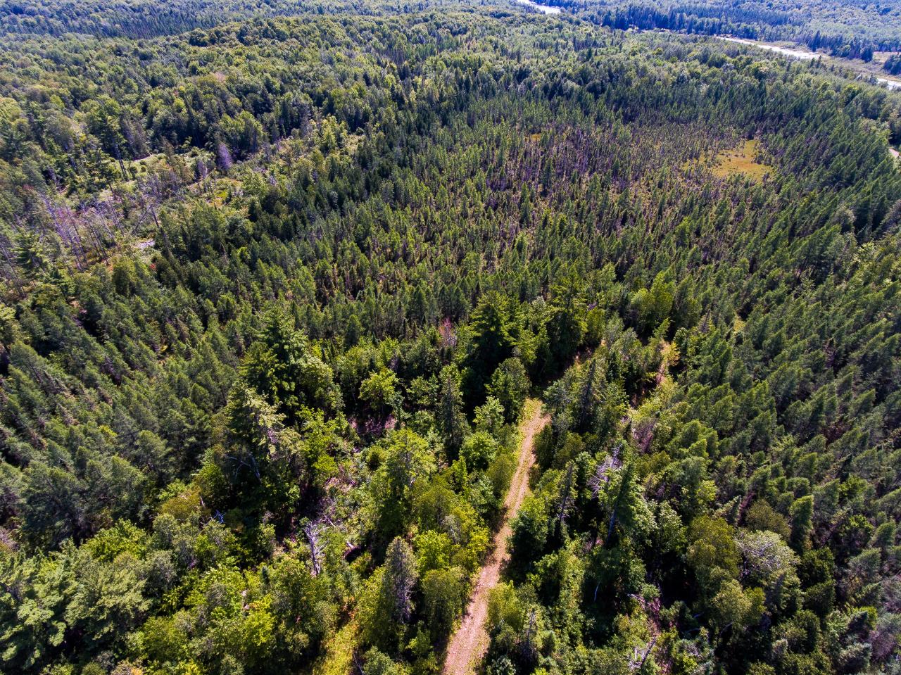 On On Desperation Road Mercer, WI 54547 - Photo 11 of 14 Gallery Image 11