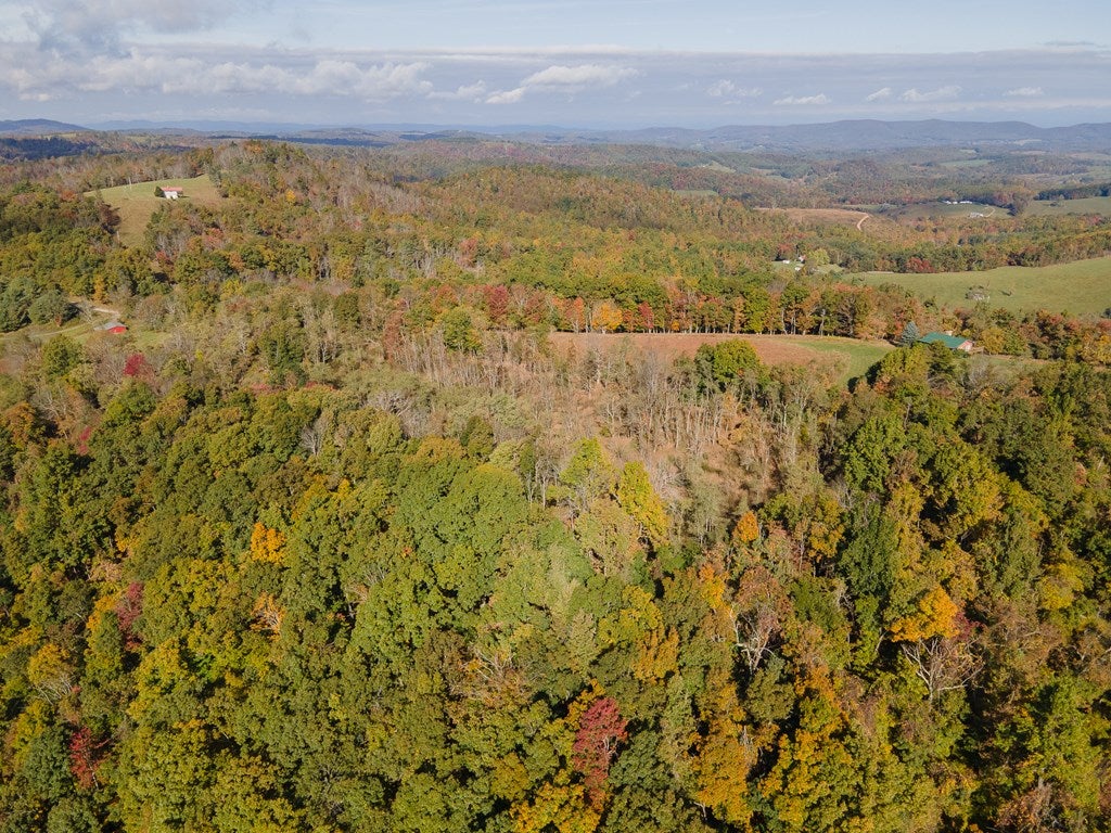 Tbd Tbd Fairview Church Road Floyd, VA 24091 - Photo 33 of 36 Gallery Image 33
