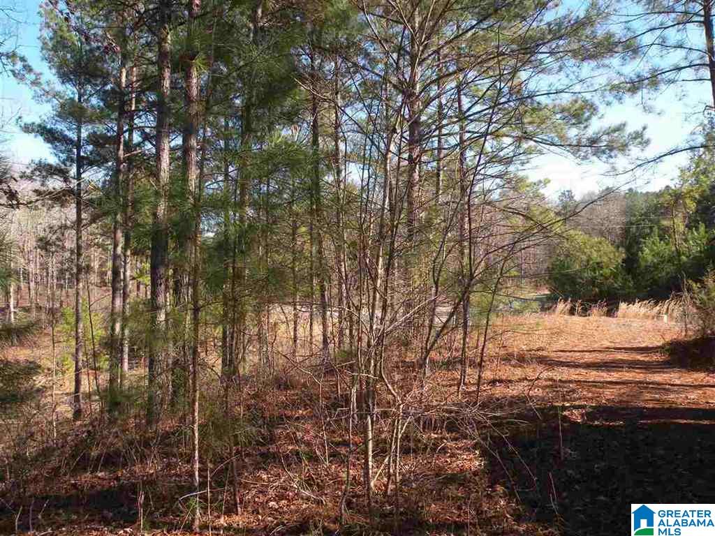 Castaway Road Sylacauga, AL 35151 - Photo 15 of 28