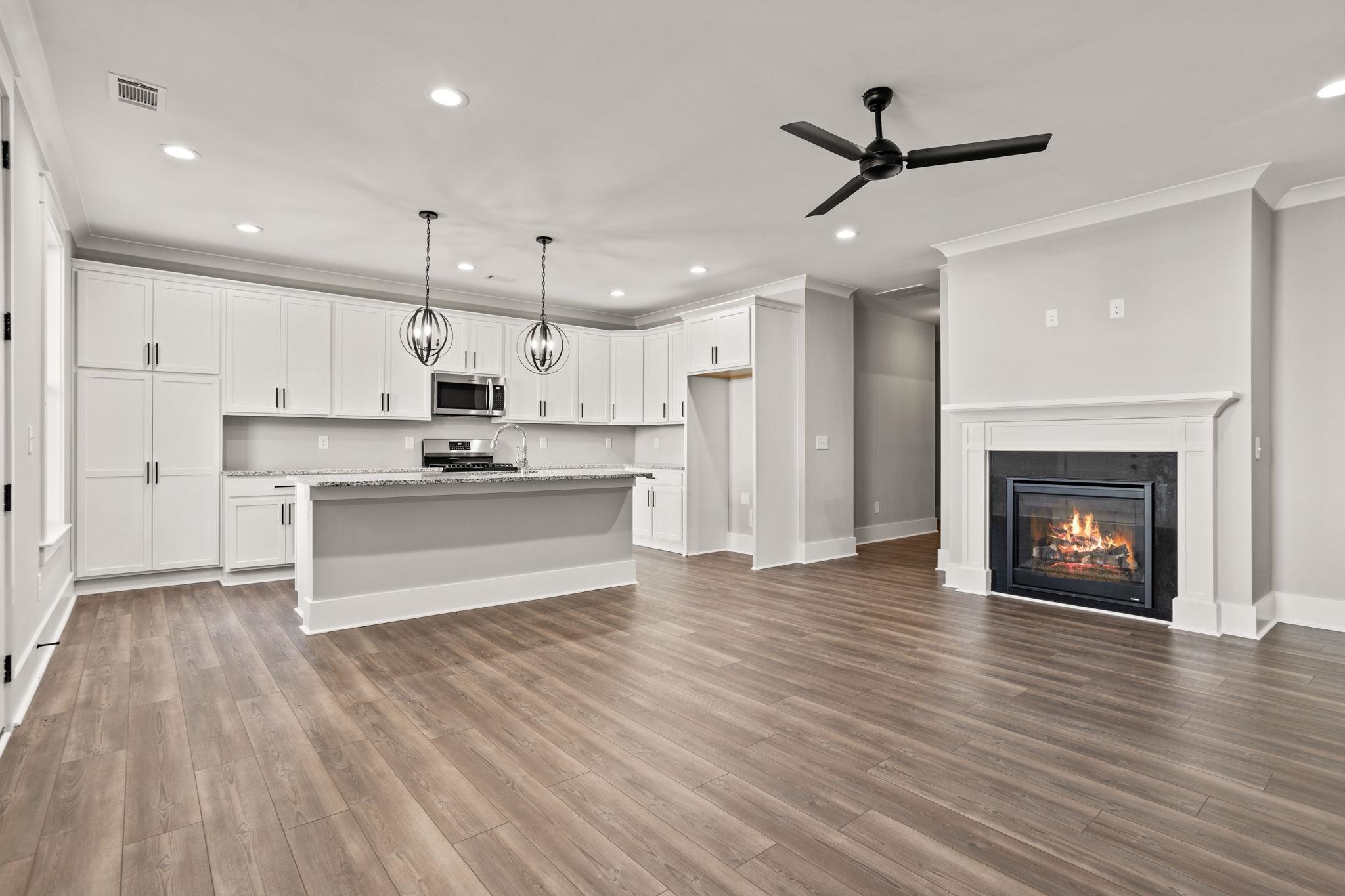 1208 North Pinot Road Duncan, SC 29334 - Photo 3 of 20