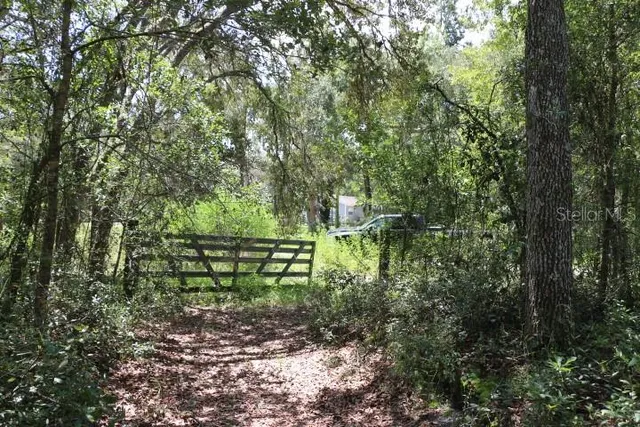 a green field with lots of trees