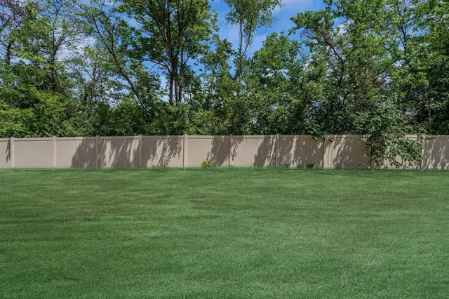 a view of garden with tall trees