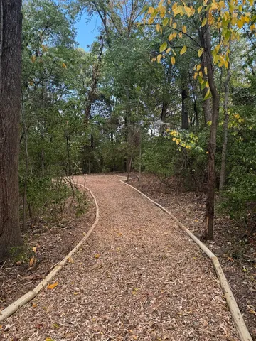 a view of a backyard with trees