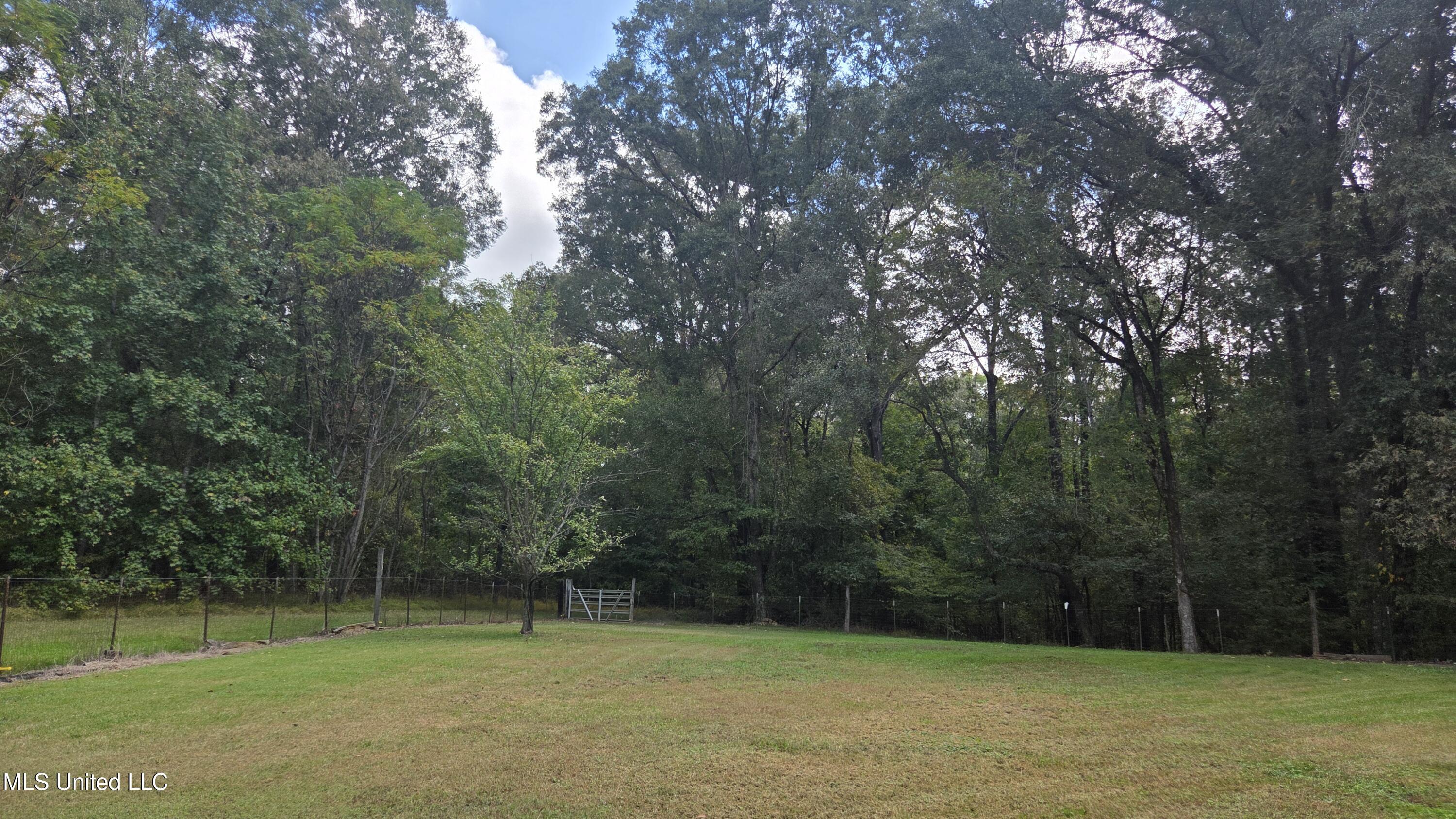 2068 Anderson Road Edwards, MS 39066 - Photo 11 of 28 20251018_111112