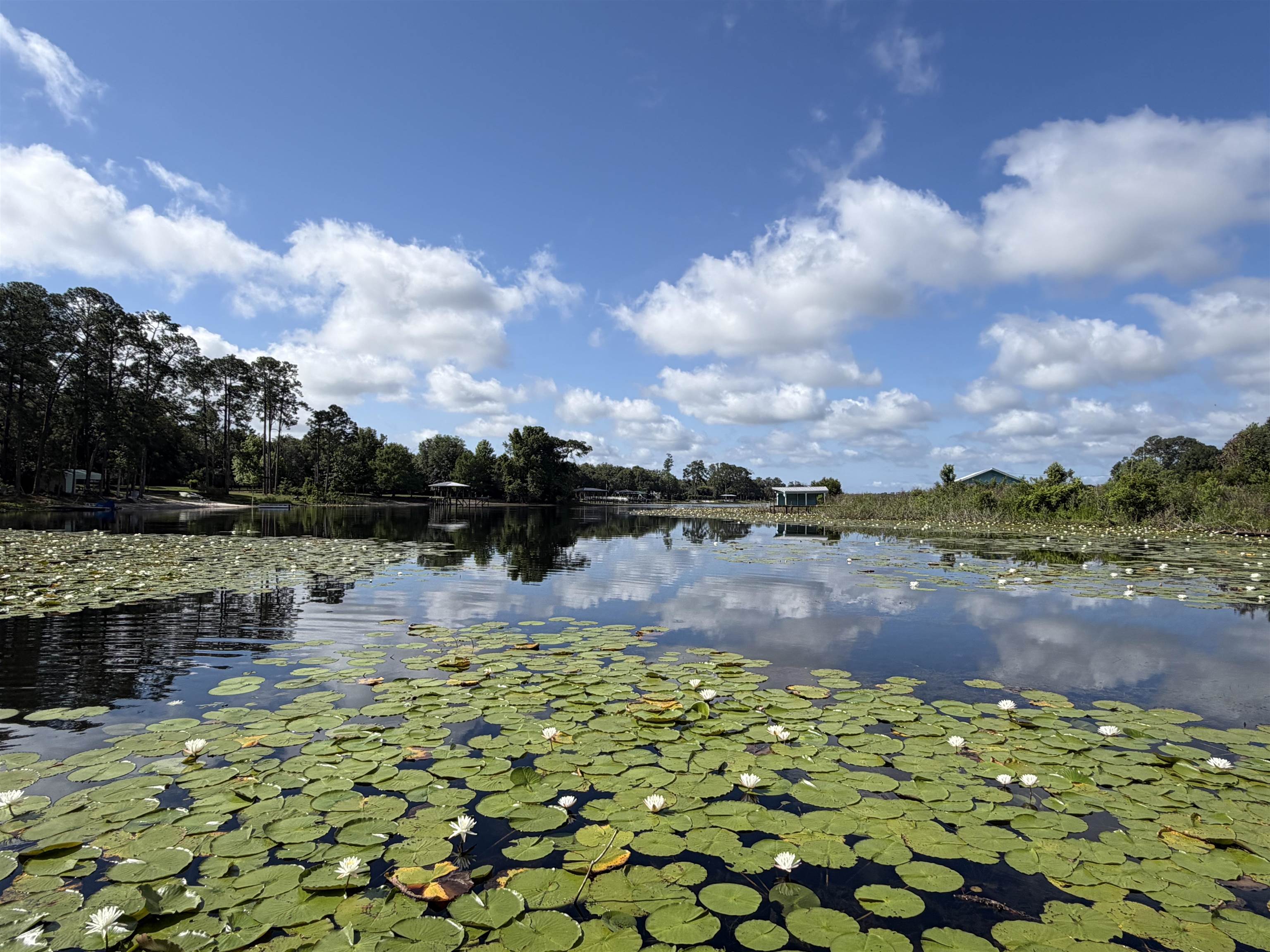 323 Sisco Road Pomona Park, FL 32181 - Photo 7 of 31 a view of lake view