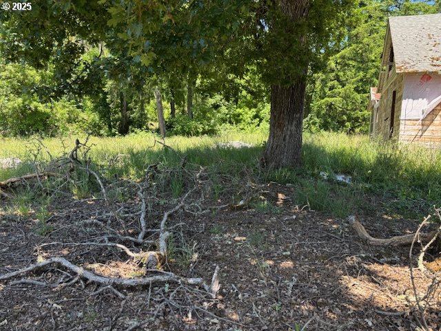 38521 Jasper Lowell Road Fall Creek, OR 97438 - Photo 6 of 11 a backyard of a house with lots of green space