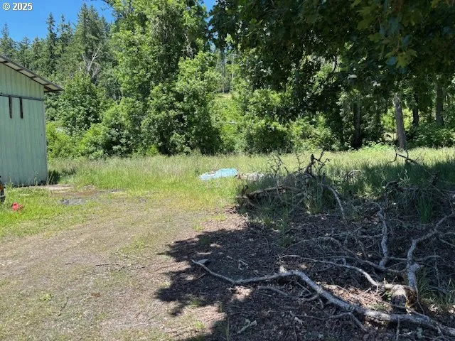 a view of a backyard