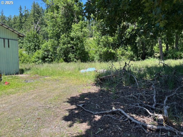 38521 Jasper Lowell Road Fall Creek, OR 97438 - Photo 7 of 11 a big yard with lots of green space and trees