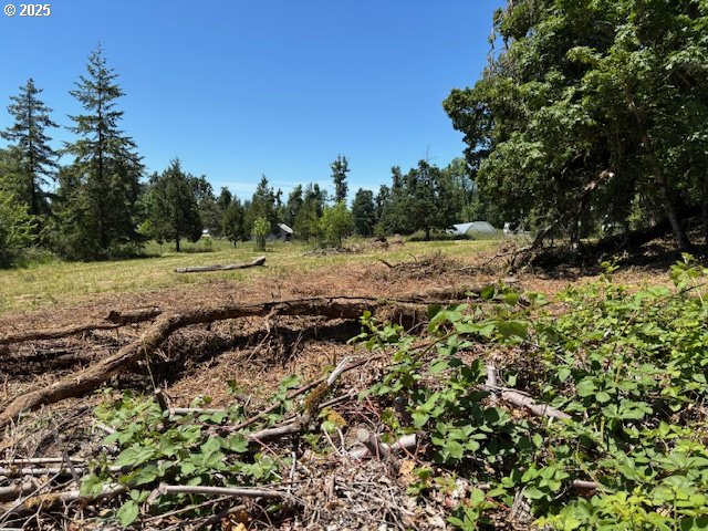 38521 Jasper Lowell Road Fall Creek, OR 97438 - Photo 10 of 11 a view of a yard with an outdoor space
