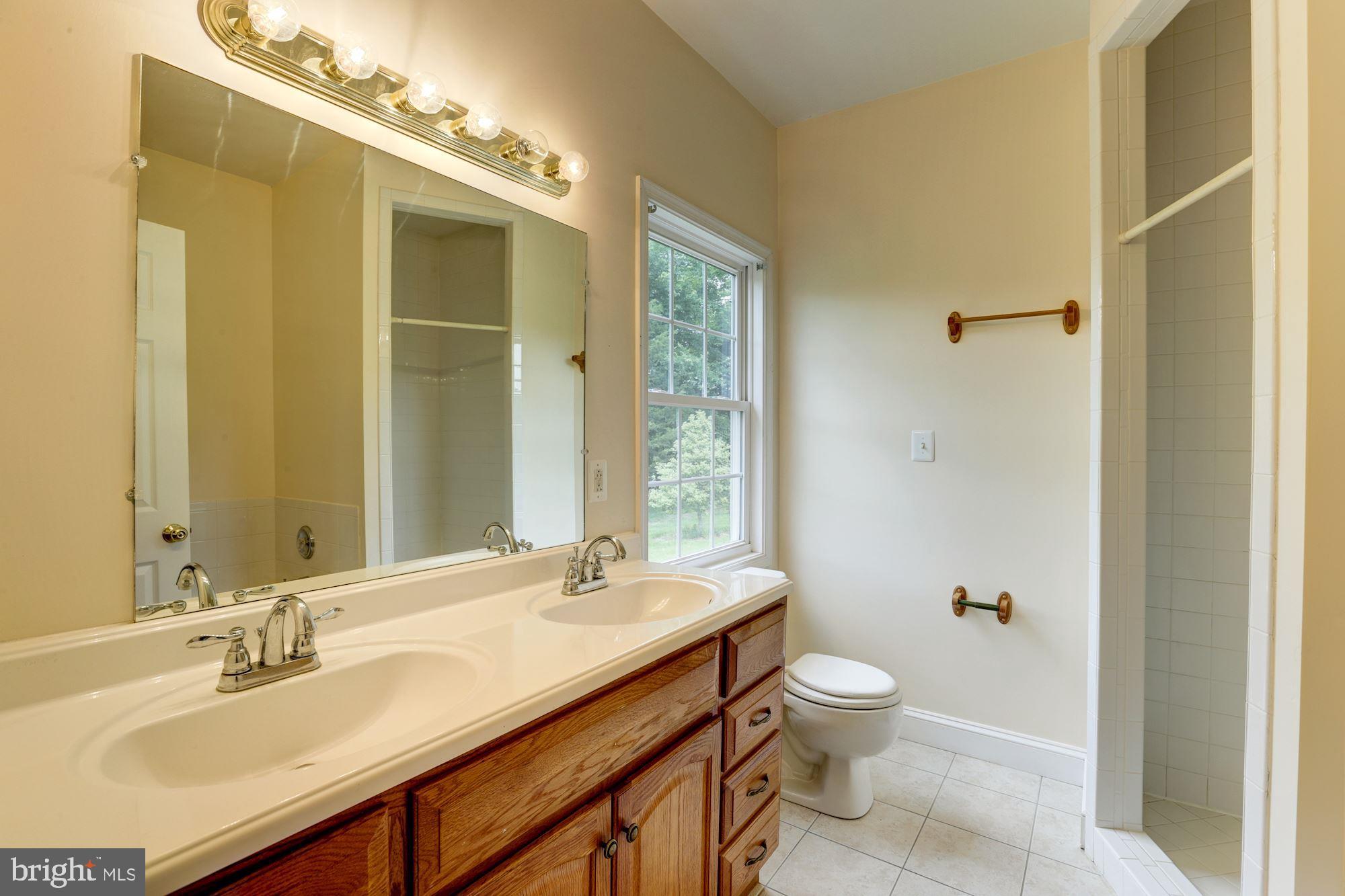 3284 Courtney School Road Midland, VA 22728 - Photo 15 of 24 Master Bath