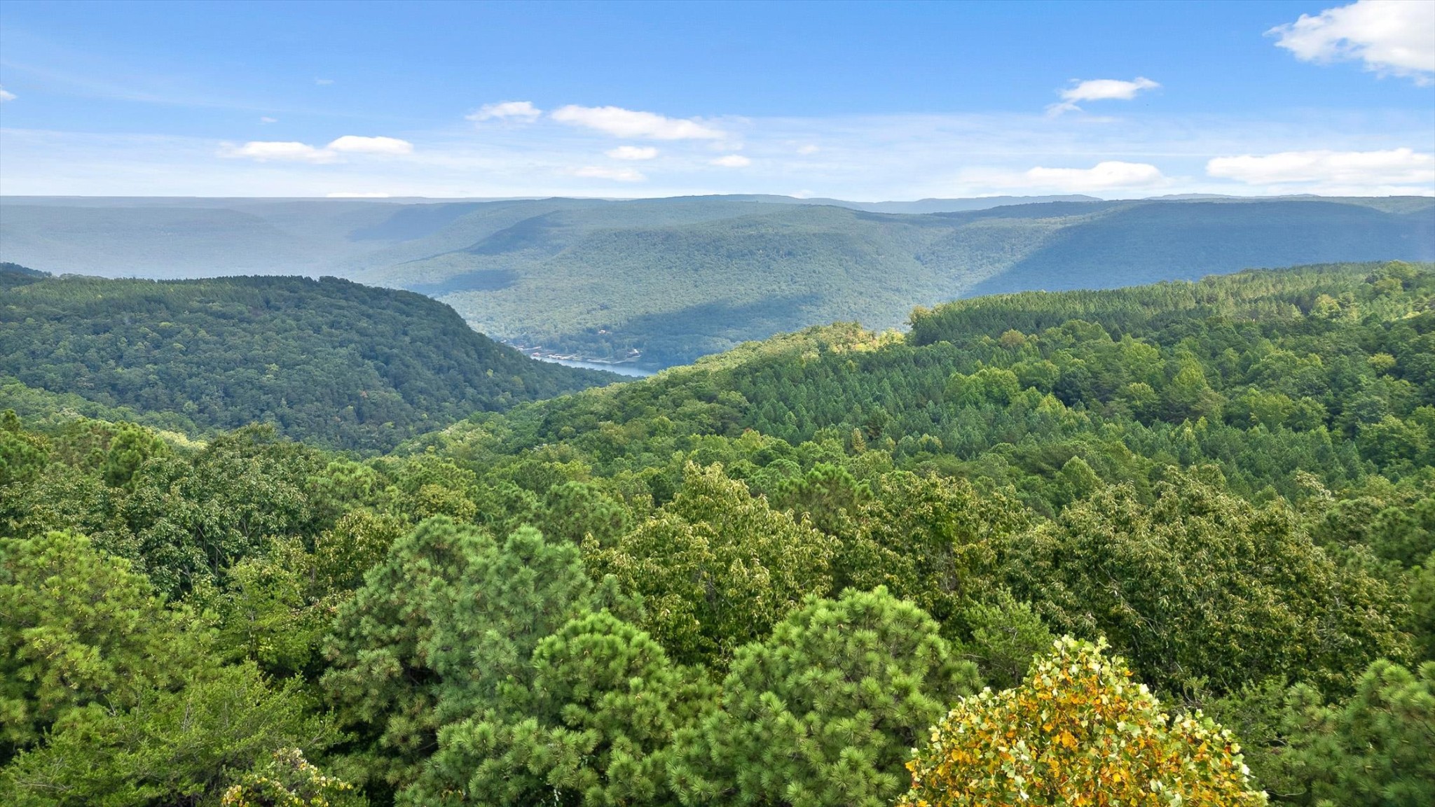 0 Big View Road Guild, TN 37340 - Photo 6 of 14 Gallery Image 6