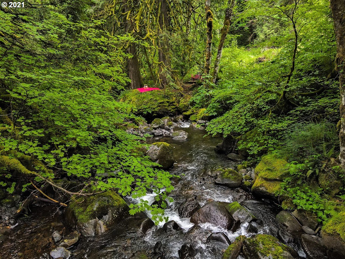 2732 Duncan Creek Road Stevenson, WA 98648 - Photo 21 of 29 Gallery Image 21