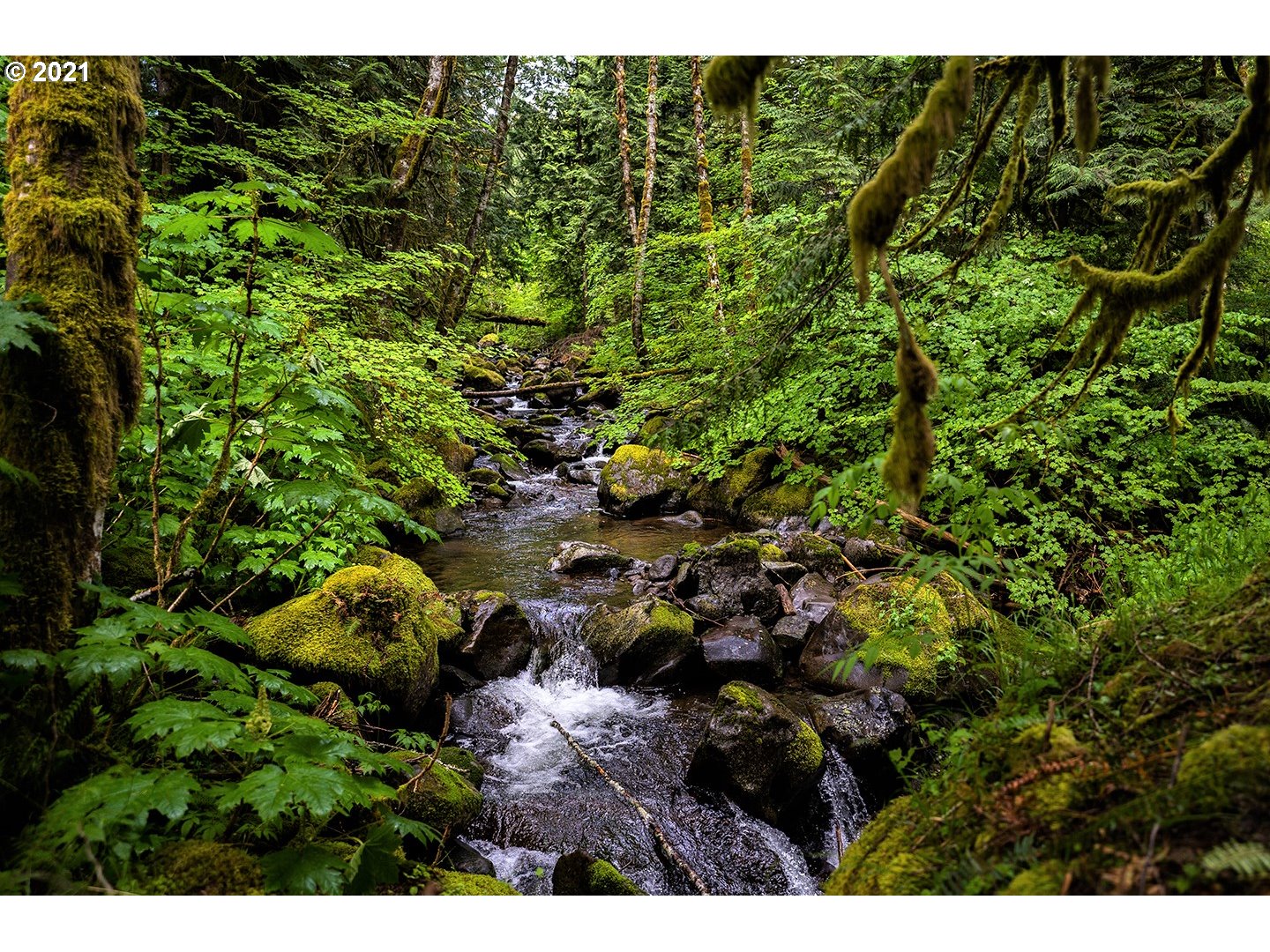 2732 Duncan Creek Road Stevenson, WA 98648 - Photo 22 of 29 Gallery Image 22