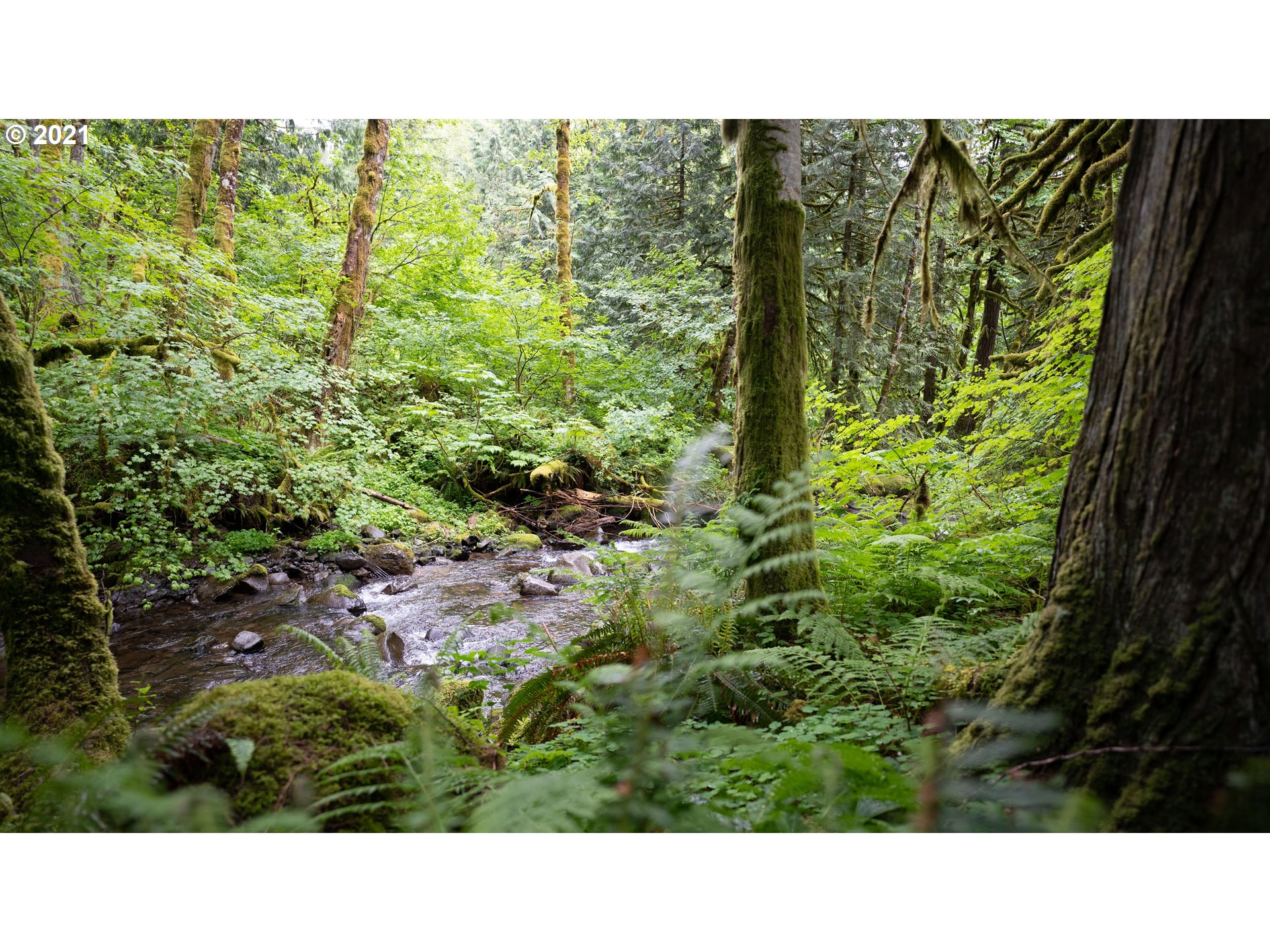 2732 Duncan Creek Road Stevenson, WA 98648 - Photo 26 of 29 Gallery Image 26