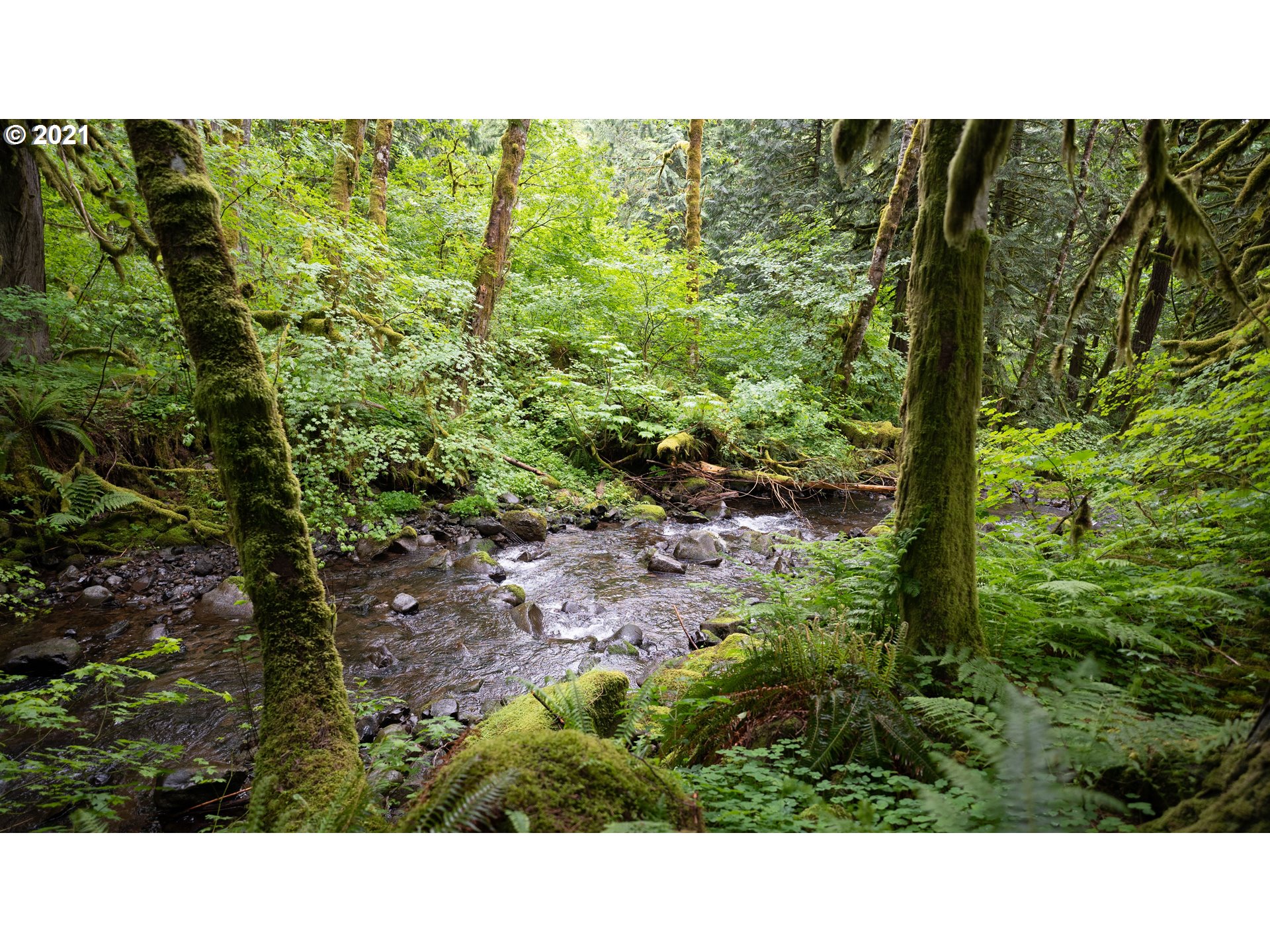 2732 Duncan Creek Road Stevenson, WA 98648 - Photo 27 of 29 Gallery Image 27