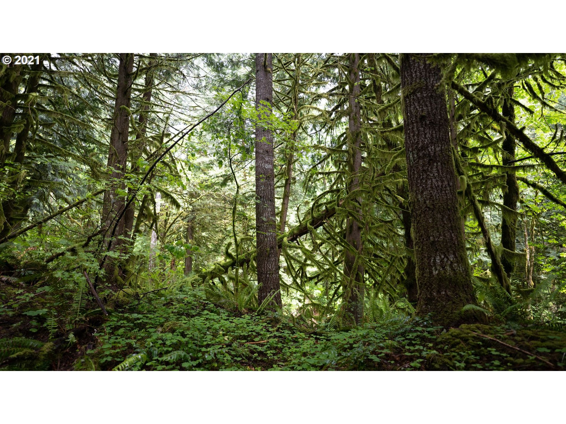 2732 Duncan Creek Road Stevenson, WA 98648 - Photo 28 of 29 Gallery Image 28