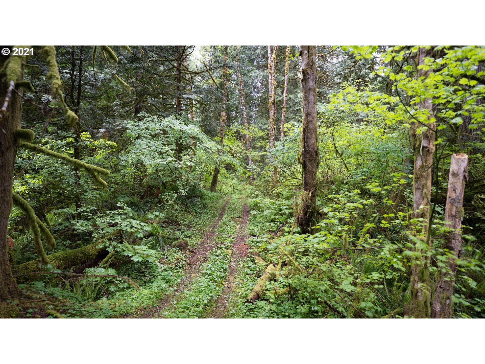 2732 Duncan Creek Road Stevenson, WA 98648 - Photo 6 of 29 Gallery Image 6