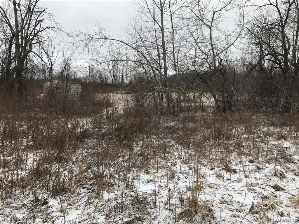 4490 East Dean Road Howell, MI 48855 - Photo 13 of 17