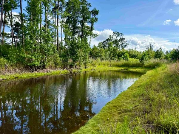 $549,000 | 85-acres - Muddy Creek Road, Hemingway, SC 29554