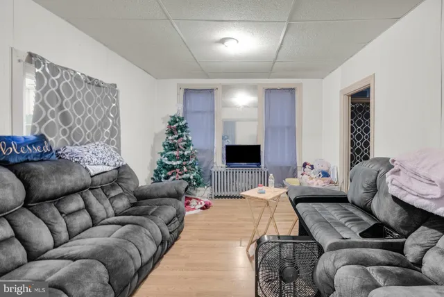 a living room with furniture and a potted plant