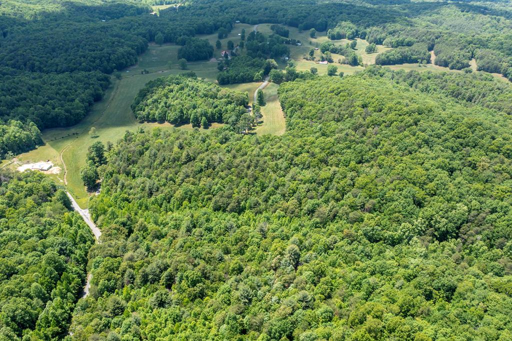 4.2-acre Donley Road Murphy, NC 28906 - Photo 25 of 32 a view of a large yard with lots of green space