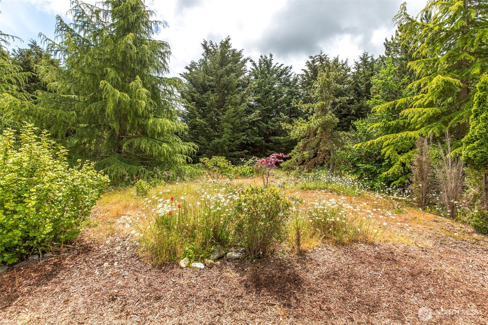 61 Snapdragon Lane Sequim, WA 98382 - Photo 9 of 29