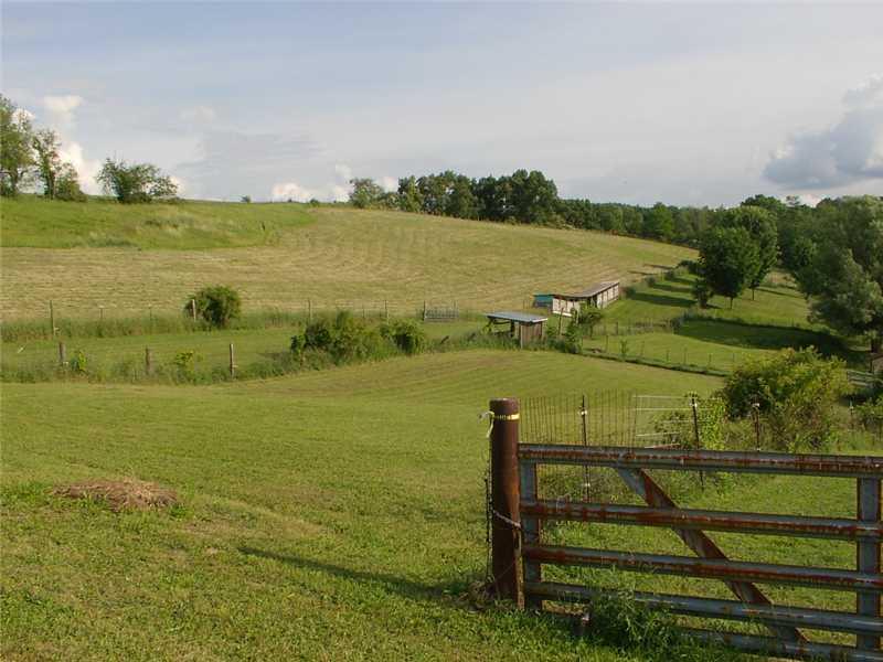 174 Hickory Road Scenery Hill, PA 15360 - Photo 6 of 25 Land.