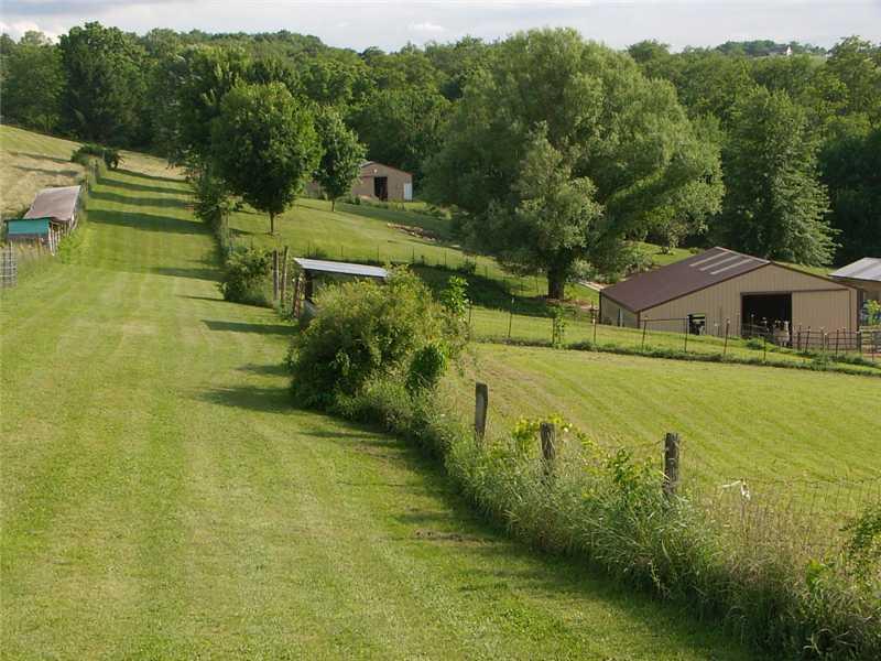 174 Hickory Road Scenery Hill, PA 15360 - Photo 7 of 25 Land.