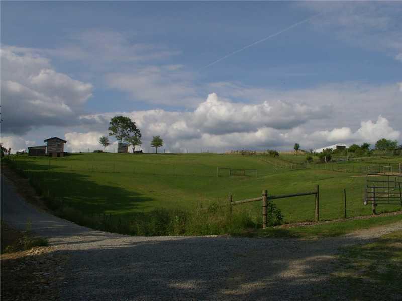 174 Hickory Road Scenery Hill, PA 15360 - Photo 8 of 25 Land.